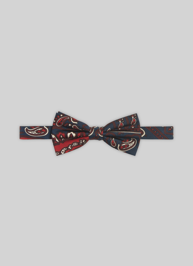 Men's bow tie Fursac - D2NPAP-VR23-30