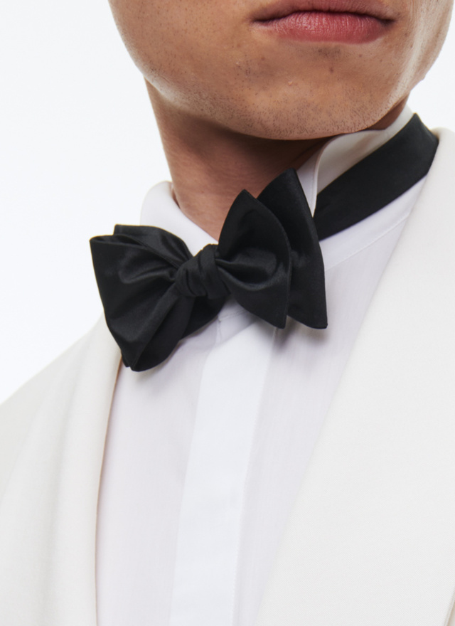 Men's silk satin bow tie Fursac - D2NPAP-D214-30