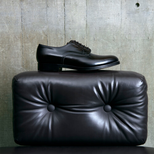 The shoes - 