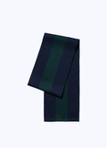 Echarpe en laine à rayures bleues et vertes - 22HD2ARRF-AR25/41