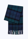 Wool and cashmere scarf - D2TANE-CR52-D030