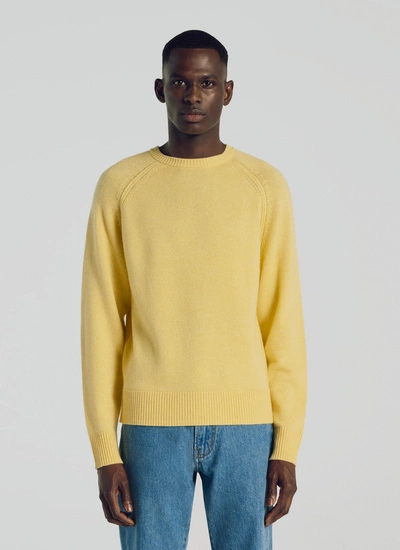 Men's yellow sweater Fursac - A2TSHE-TA35-59