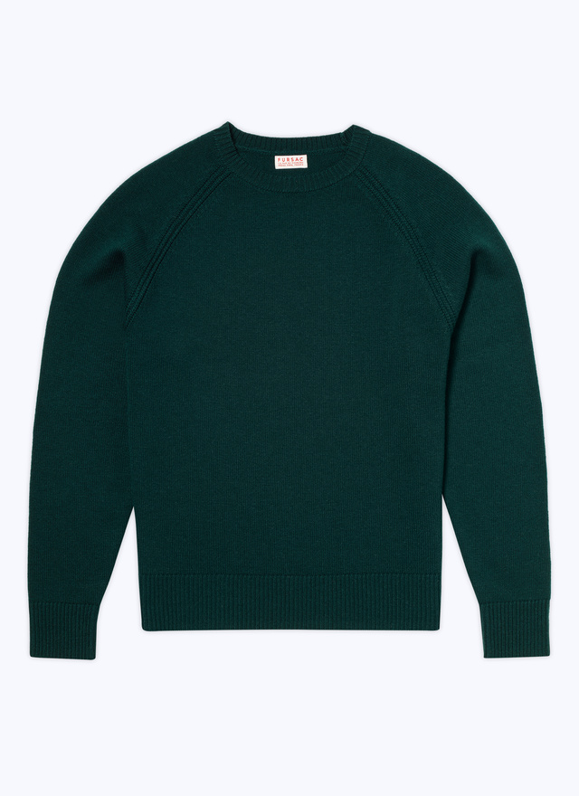 Men's forest green sweater Fursac - A2TSHE-TA35-H014