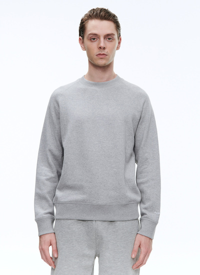 Men's sweatshirt grey cotton jersey Fursac - 23EJ2BARA-BJ03/29