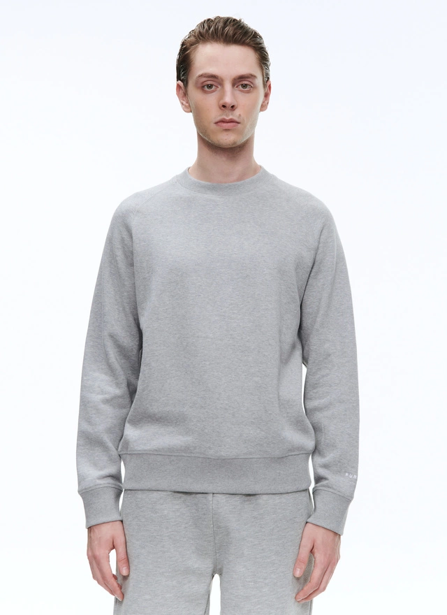 Men's sweatshirt grey cotton jersey Fursac - J2BARA-BJ03-29
