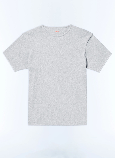 Men's grey cotton jersey t-shirt Fursac - J2DING-DJ01-B017