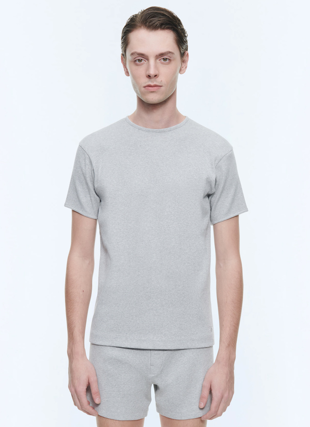 Men's t-shirt grey cotton jersey Fursac - J2DING-DJ01-B017