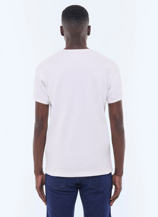 Men's organic cotton jersey t-shirt Fursac - J2DING-FJ20-A002