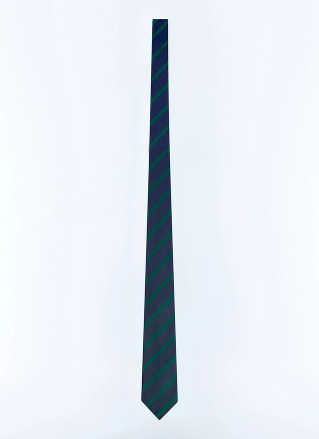 Men's tie Fursac - F2OTIE-GR45-D030