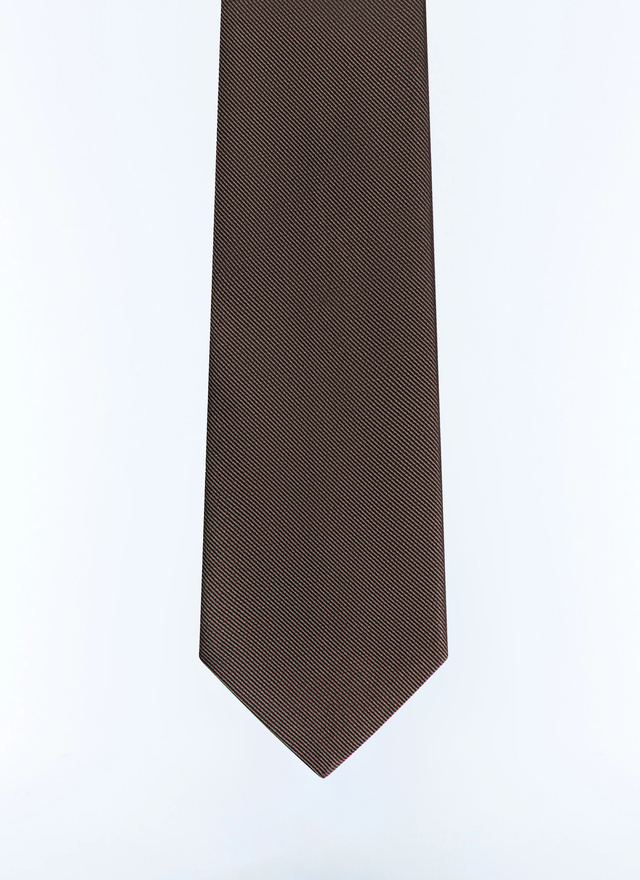 Men's tie taupe brown silk Fursac - F2OTIE-DR16-G014